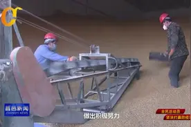 中储粮潍坊公司昌邑分公司投放储备玉米保市场供应视频封面