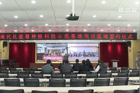 视频签约！云南保山引进澳大利亚企业投资蓝莓种植视频封面