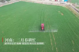 “雨水”至，春耕春管正当时图片
