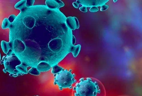 新冠病毒是怎么产生的？美国研究发现可追溯至2009年