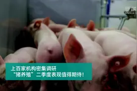 财富连线|上百家机构密集调研 “猪养殖”二季度表现值得期待视频封面