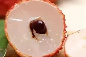 除了杨贵妃，谁还知道荔枝的好？图片