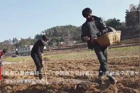 戴着口罩抢春耕——“中国南方马铃薯之乡”贵州威宁农事忙视频封面