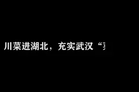 川菜进湖北，充实武汉“菜篮子”视频封面