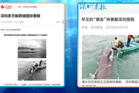 DIGIX TALK白小刺：海洋保育是一种公民责任的回归图片