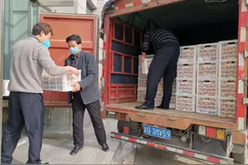 临沂郯城：养鸡能手的4万枚鸡蛋助攻战“疫”一线图片