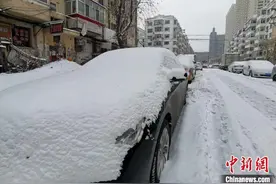 最大降雪量12.2毫米 中国最北省份迎来2020年首场大雪图片
