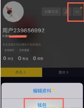 抖音音浪提现的比例（抖音音浪怎么提现 抖音音浪怎么获得 抖音音浪可以换多少钱）