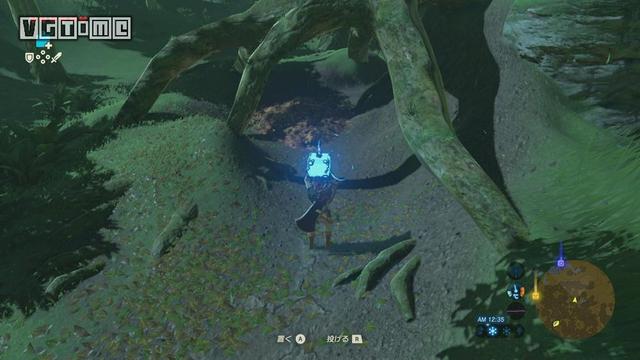 《塞尔达传说：旷野之息》「种子收集」中央海拉尔地区