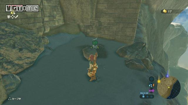 《塞尔达传说：旷野之息》「种子收集」中央海拉尔地区