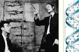悬案告破！病毒重组！DNA是人类学习了上帝的语言？图片
