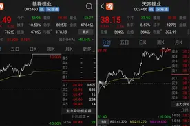 神秘的“干电极 超级电容”，究竟藏着哪些玄机？图片