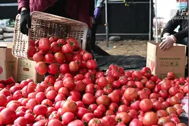 好“柿”来到视频封面