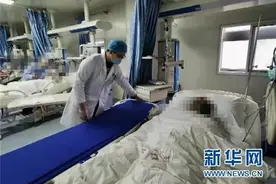 杜家四兄妹，个个好样的！视频封面