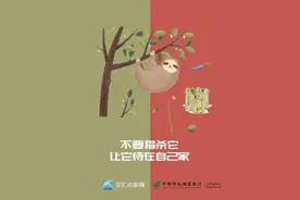 带鱼、牛蛙、野猪、梅花鹿、鹌鹑、鸽子，到底哪些动物不能吃？图片