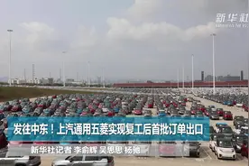 发往中东！上汽通用五菱实现复工后首批订单出口视频封面