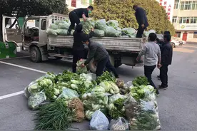 杨溪铺镇掀起抗疫物资捐献热潮图片