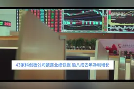 中国财富报道｜43家科创板公司披露业绩快报 逾八成去年净利增长视频封面