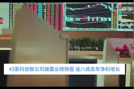 中国财富报道｜43家科创板公司披露业绩快报 逾八成去年净利增长视频封面