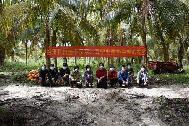 开采喽！海南万宁助农金椰已卖出5000单