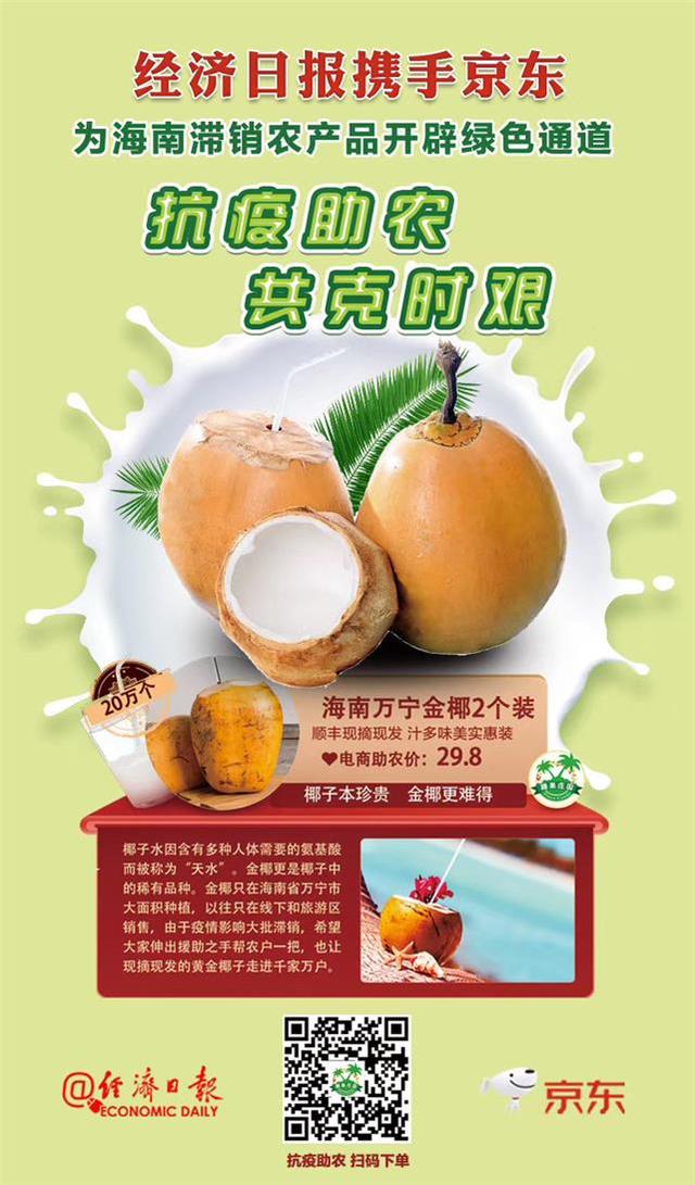 开采喽！海南万宁助农金椰已卖出5000单