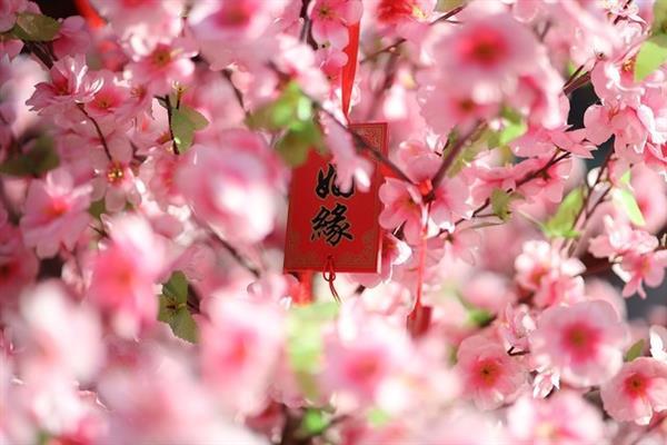 摄影圈名词百科：“标头”究竟是什么？