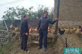 扶贫日记(91)一头猪一只鸡都是贫困户致富脱贫的重要法宝图片
