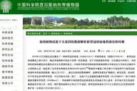 台湾节目关注，新冠病毒源头在美国？专家解读来了图片
