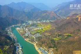 陇之南 春来早视频封面
