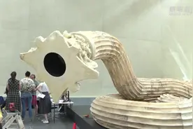 像蛇一样会动的罗马柱！澳国家美术馆的中国艺术家展品视频封面