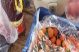 返乡人员被隔离在猪圈？官方：系养殖场生活住房，生活物品齐全！视频封面