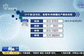 31个省（自治区、直辖市）和新疆生产建设兵团视频封面