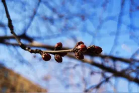 《你的善良必须有点锋芒》感悟和摘录分享图片