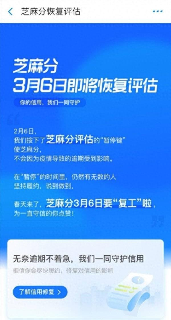 花呗备用金逾期一天，芝麻信用因为花呗违约,什么时候能在提升 配图02