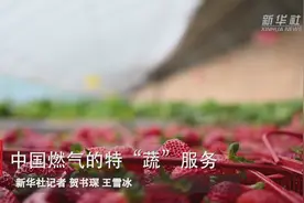 中国燃气的特“蔬”服务视频封面
