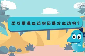 科画 | 恐龙是温血动物还是冷血动物？视频封面