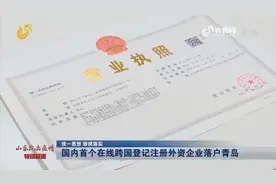 国内首个在线跨国登记注册外资企业落户青岛视频封面