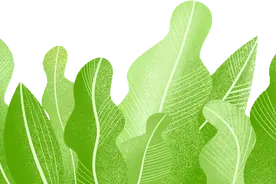 开茶厂、助脱贫，你必须要知道的这些税收小知识图片