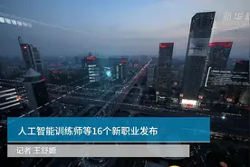 中国财富报道|人工智能训练师等16个新职业发布视频封面