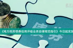 中国财富报道|《地方政府债券信用评级业务自律规范指引》今日起实施视频封面