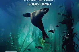 维护地球上所有的生命，这是每个人的责任图片