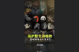人民微评：保护野生动植物就是保护人类自己图片