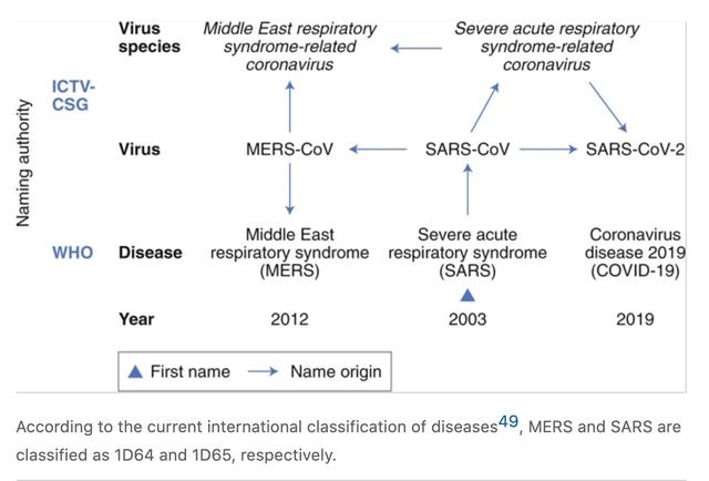 sar是什么意思（新冠病毒正式命名SARS-CoV-2）