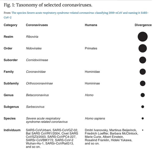 sar是什么意思（新冠病毒正式命名SARS-CoV-2）