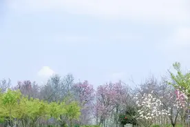 免费啦！金华八县市，大美武义邀您清肺踏青之旅图片