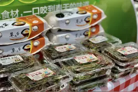 每一个春天都不容错过，头茬春菜“空降”魔都货架图片