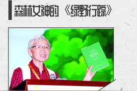 森林女神的《绿野行踪》图片