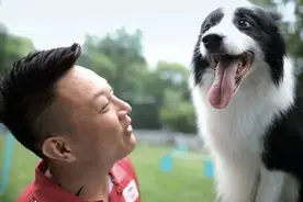 新360行｜宠物训练师：既要训练狗更要培训主人图片