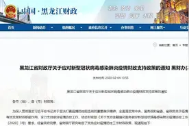黑龙江省财政厅出台支持抗疫“黄金11条”财政政策图片