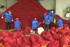家门口的就业 河南内黄扶贫车间复工忙视频封面